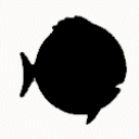 Sunfish sailboat — mainsail insignia